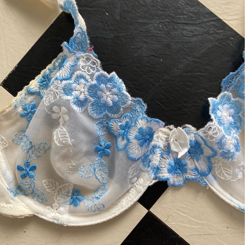 Embroidered Mesh Blue Floral Bra
